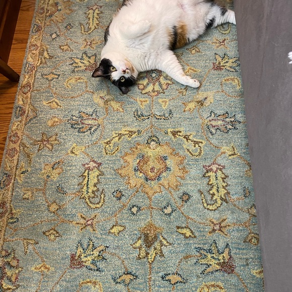 SMOKE FREE, PET FRIENDLY💞🤗😻Plz Read♥️ - Picture 2 of 10